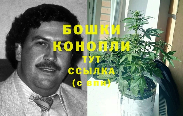 спиды Бронницы