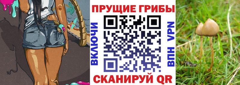 Псилоцибиновые грибы Magic Shrooms  цены наркотик  mega сайт  Долинск 